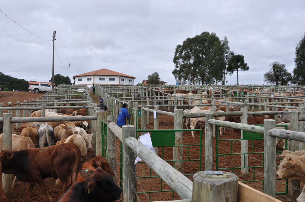 Feira do Clube de Mães Esperança e Paz foi um sucesso em vendas