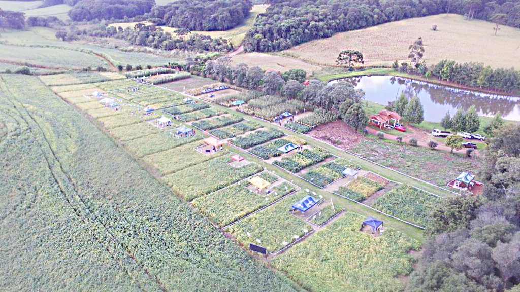 Copercampos realiza Tarde de Campo em São José do Ouro/RS