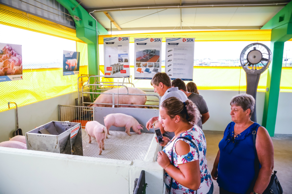 Agroindústria Copercampos apresenta Mini Granja durante 23º Dia de Campo