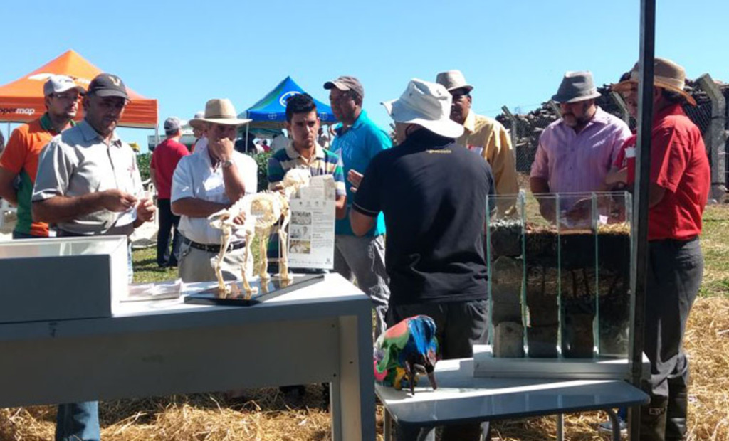  - Dia de Campo teve como tema ?Apresentação de unidades demonstrativas de empresas do Agronegócio?