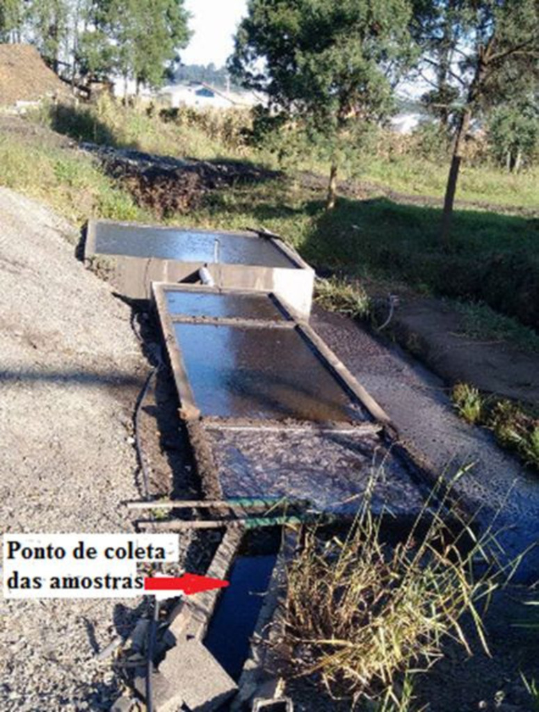  - Local onde ocorreu a coleta das amostras da pesquisa