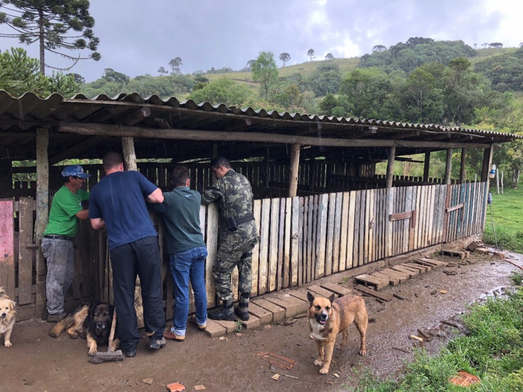 Polícia Militar Ambiental