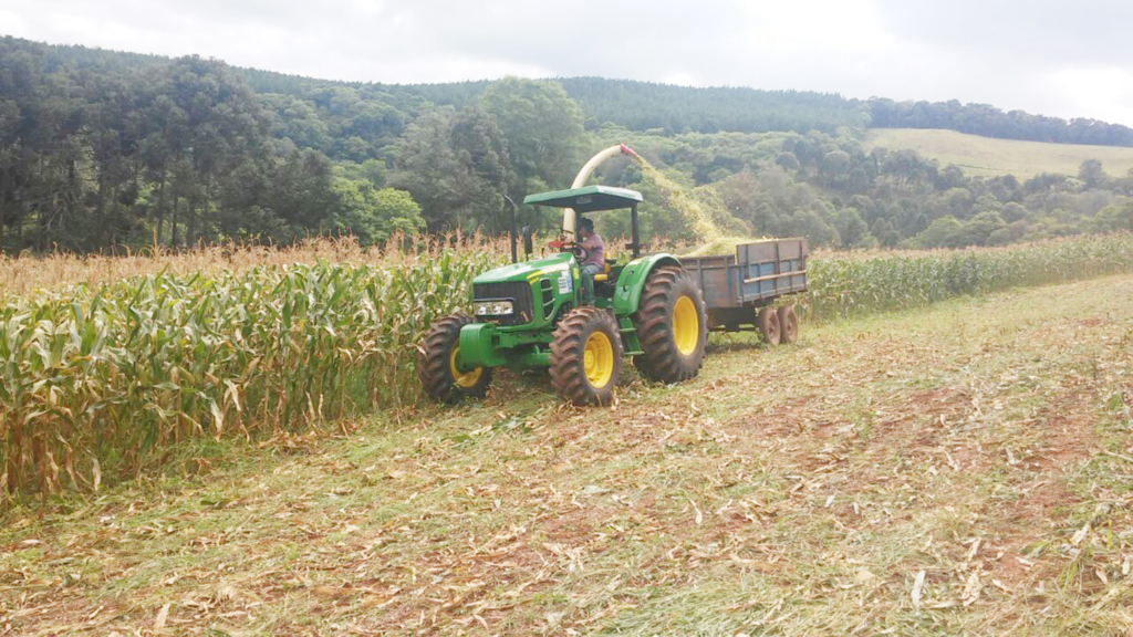 Secretaria da Agricultura de Capinzal prioriza a produção de silagem