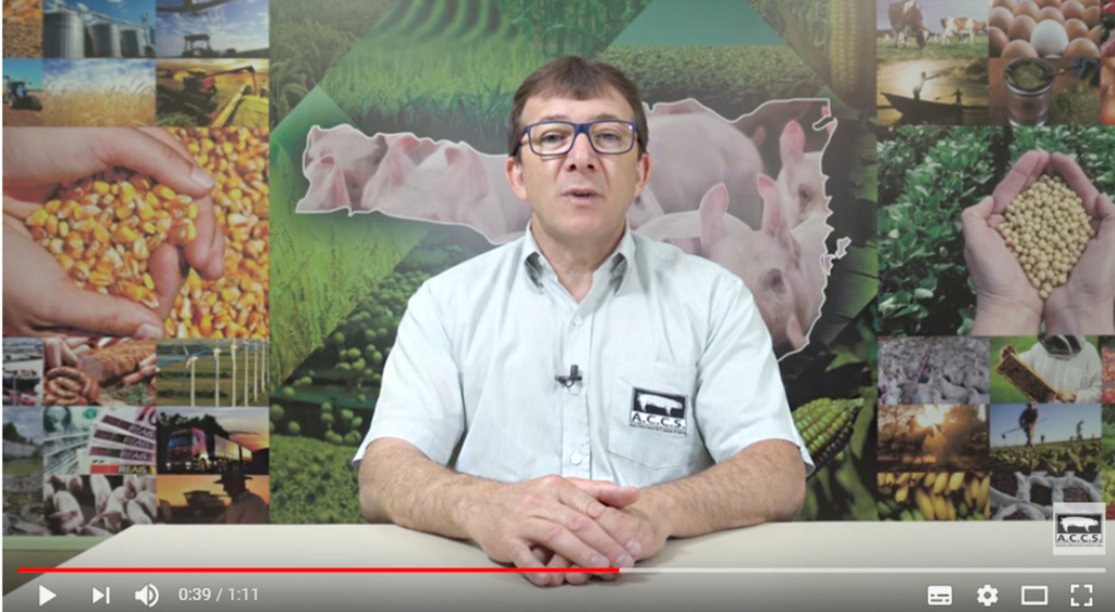  - Presidente: Losivanio Luiz de Lorenzi.
