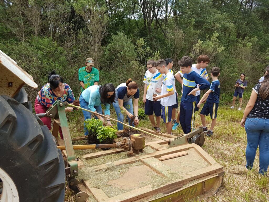Comissão organizadora da Expovale 2017 realiza plantio de ipês no Parque de Exposições