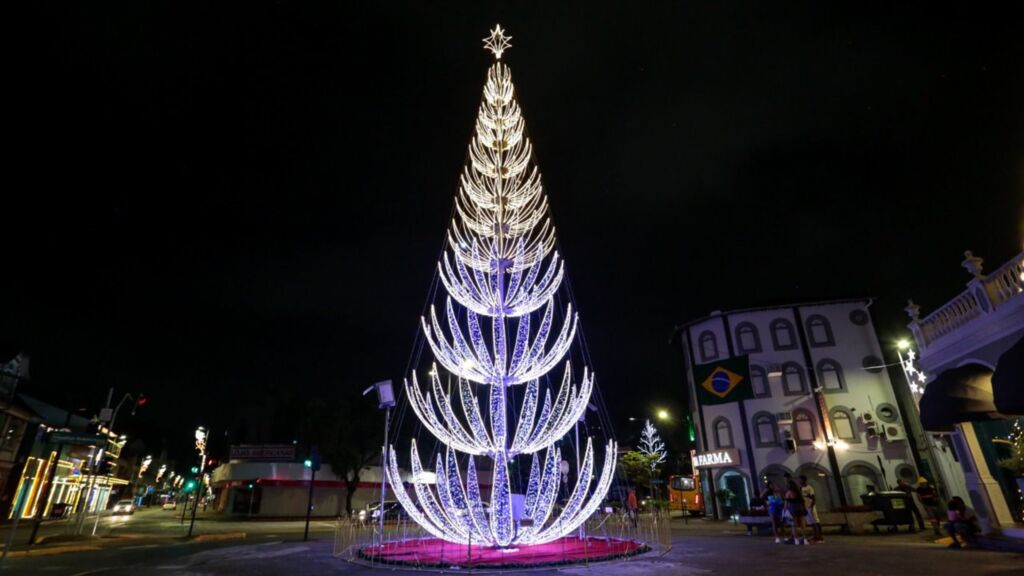 Árvore Musical de Natal encanta público de Joinville com luzes e melodias sincronizadas