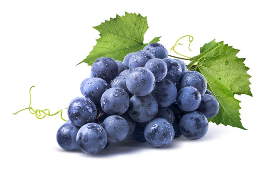 NUTRIÇÃO Sacolão de Frutas e Verduras
