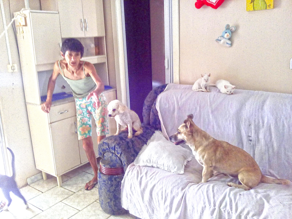  - DESCASO: Senhora doente cuida de gatos e cachorros deixados as escondidas, também abandonados em sua residência, sendo que a mesma gosta de animais, então o pessoal se aproveita da situação de desamparo da idosa (questão de responsabilizá-la pelo dever dos outros). Iredes Chiamolera, 61 anos, mora à Rua Florida, 55, no bairro Parque e Jardim Ouro, cidade de Ouro (SC), sendo a foto feita no domingo, 09 de abril de 2017, dando para constatar o problema enfrentado pela aposentada que sobrevive com um salário mínimo. Que os poderes devidamente constituídos no município e na Comarca de