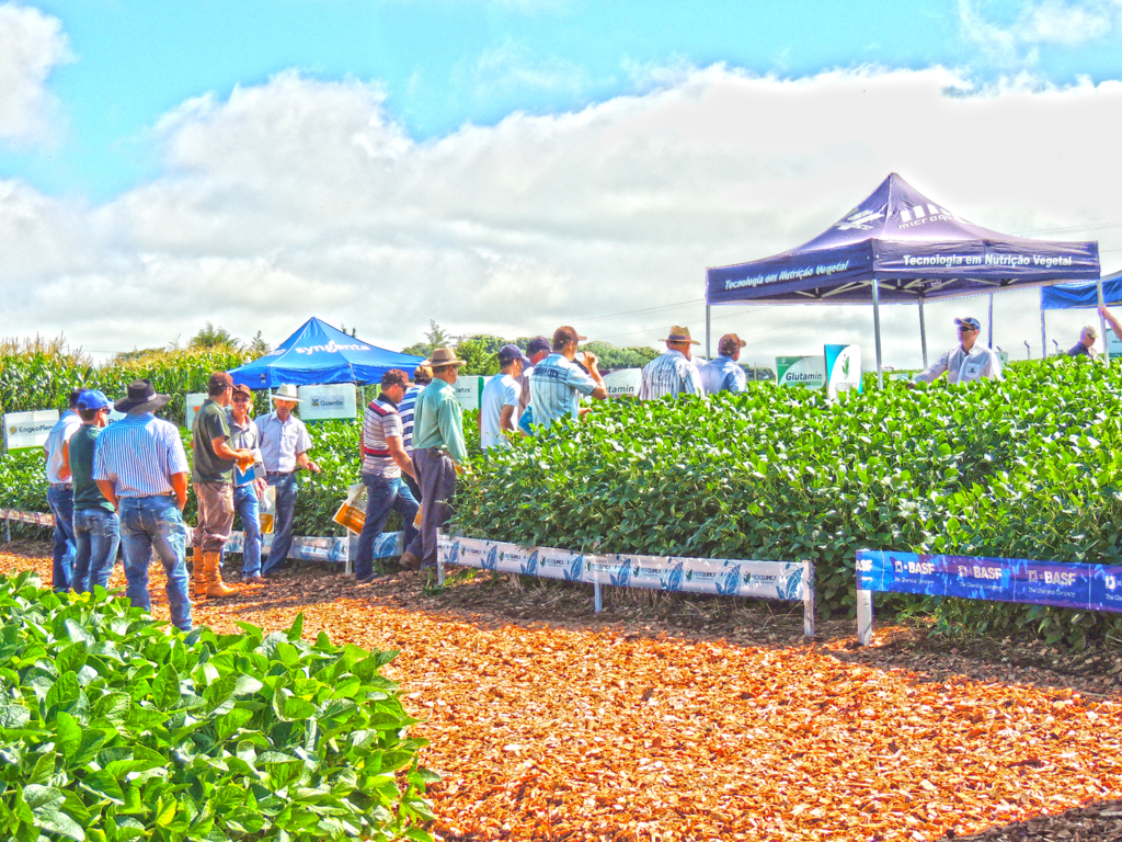 4º Dia de Campo Coocam, em Lebon Régis, apresentará a melhor tecnologia disponível no agronegócio