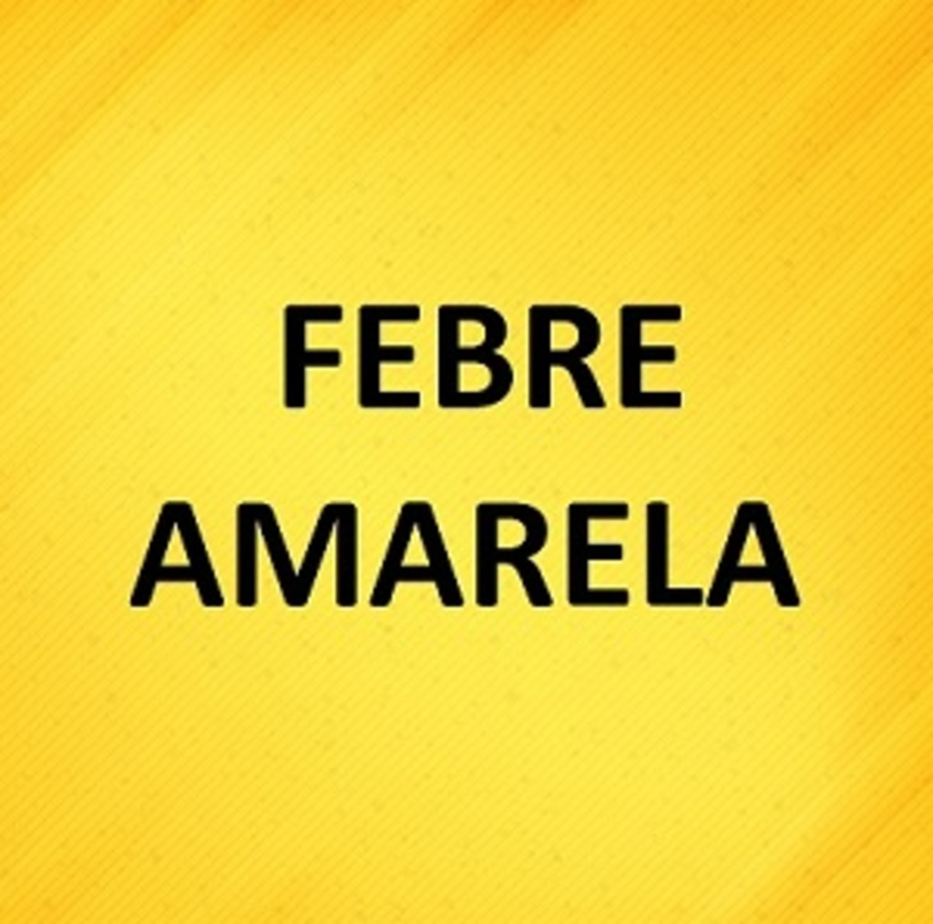 Vacinação contra a febre amarela é incentivada em áreas de Santa Catarina