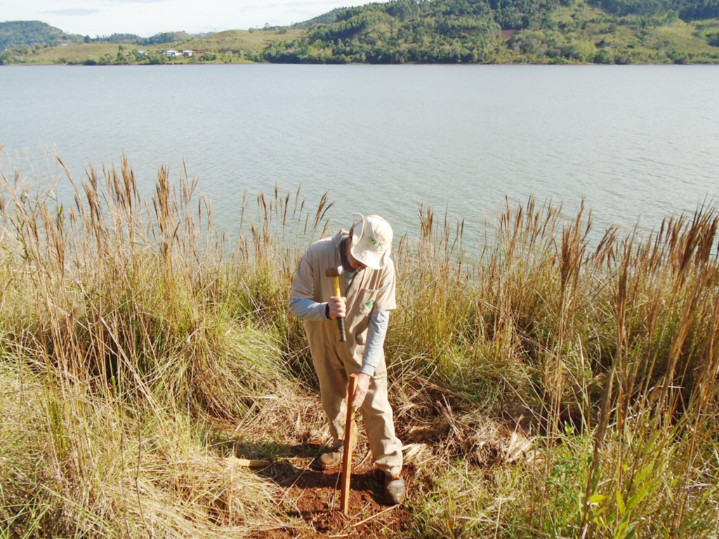 Mais de 3.000 árvores nativas foram plantadas pela Central de Manutenção na faixa ciliar