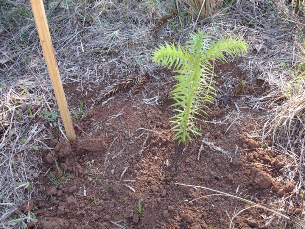 BAESA promove a 5ª Semana de Sustentabilidade