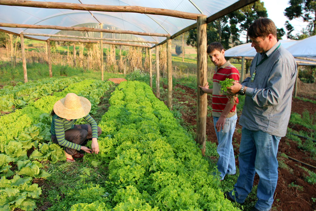 Créditos SOS Sustentar - Orientações são repassadas aos produtores pela equipe técnica do Programa SOS Sustentar