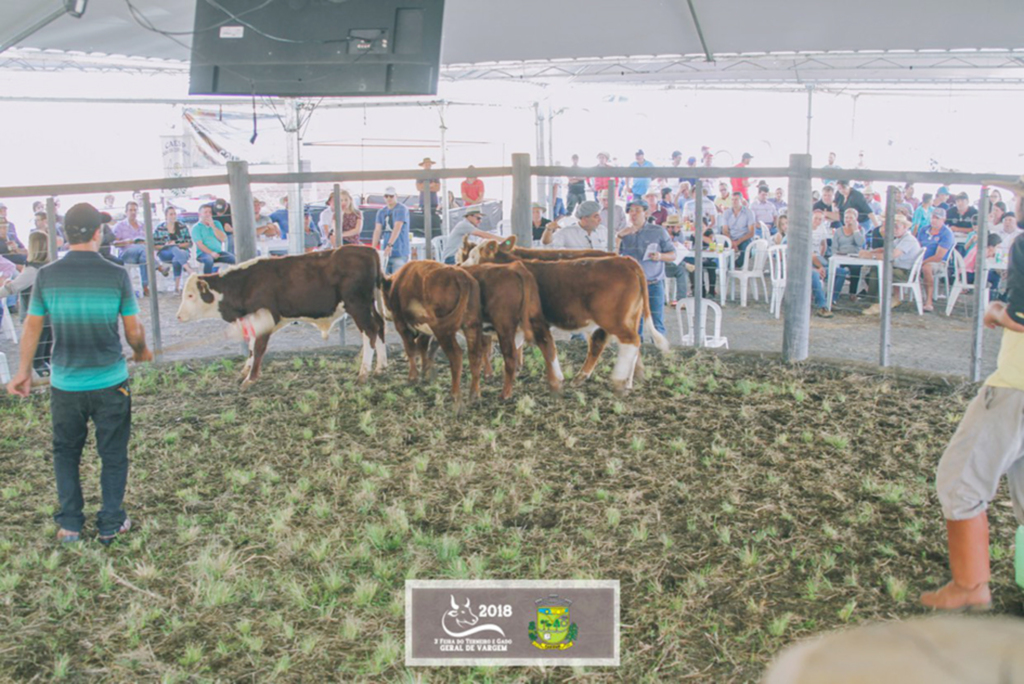 3ª feira do Terneiro e Gado Geral movimenta  a economia de Vargem