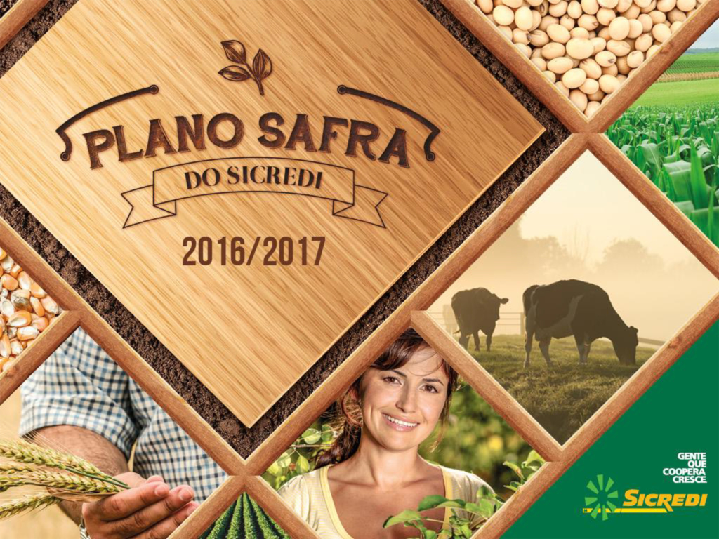  - Safra 2016-2017