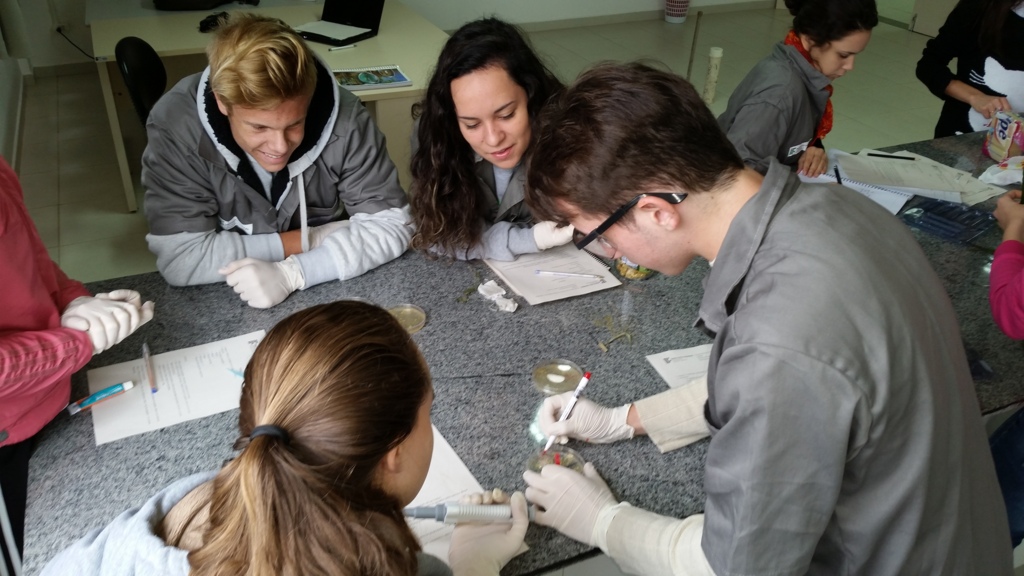 (Foto: Divulgação/IFC Luzerna) - Alunos do IFC exploram propriedades químicas no laboratório da instituição