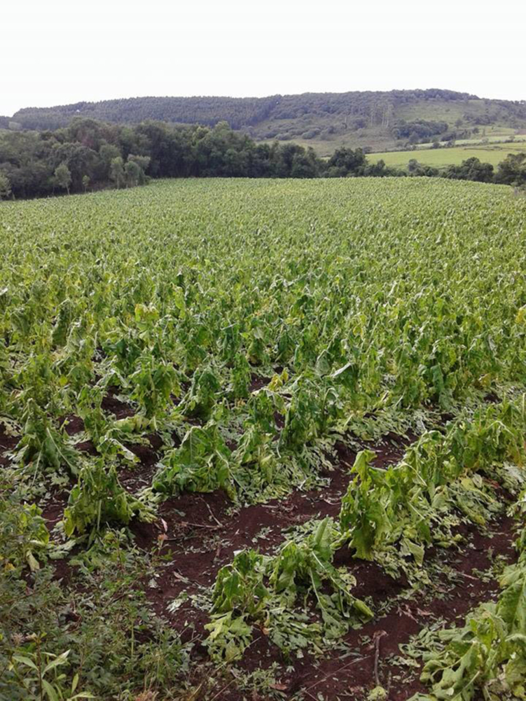 Município inicia operação tapa-buracos na SC ? 284