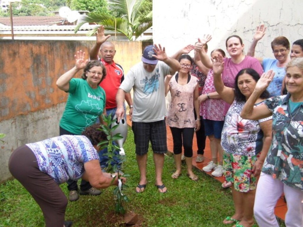  - Plantando mudas.