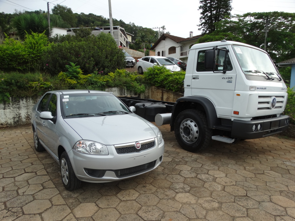 Cidiane Pedrussi - 