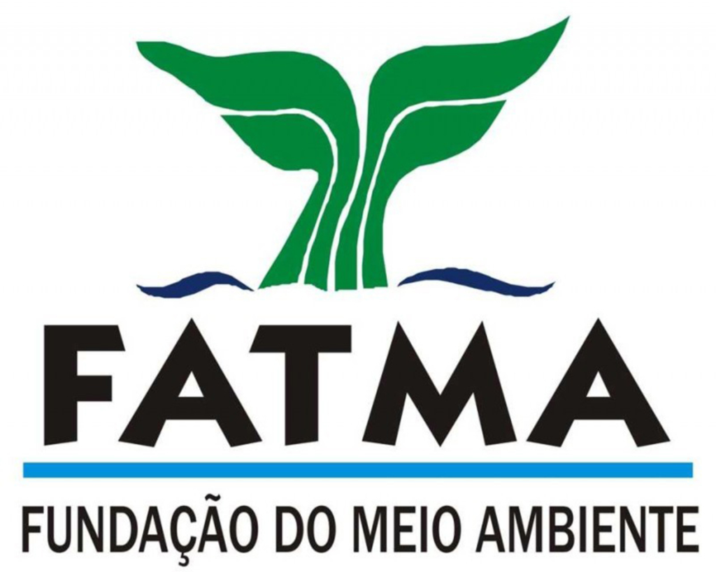 Fatma autua empresas em mais de R$ 370 milhões