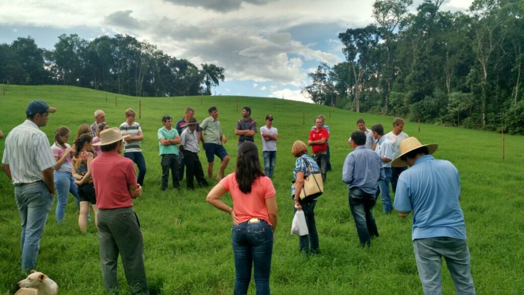 Secretaria de Agricultura de Campos Novos realiza o 2º Dia de Campo do Projeto Balde Cheio