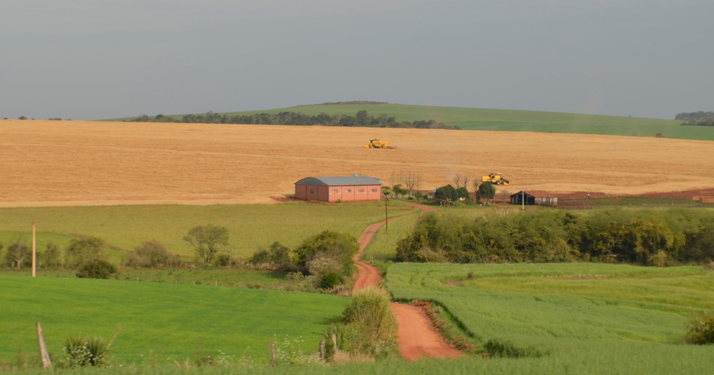 Taxação de exportações agrícolas não agrada setor