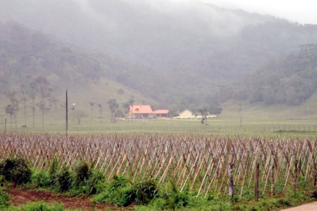 Boletim da Epagri/Ciram reúne informações meteorológicas e ambientais do inverno de 2015