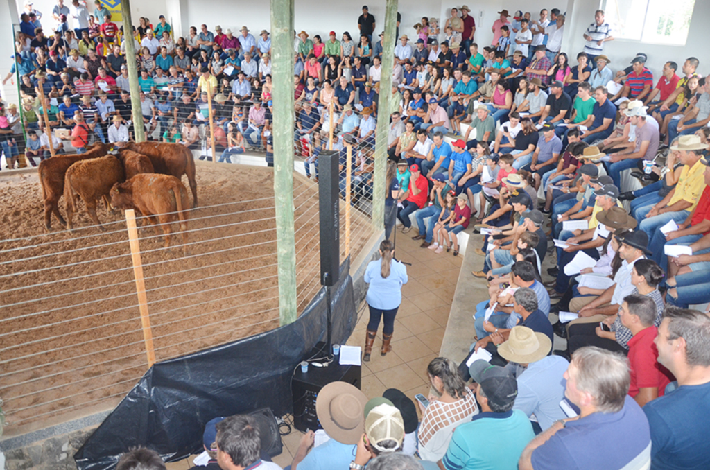 Prefeitura e Sindicato Rural de Anita realizaram a 14ª Feira do Terneiro e da Terneira