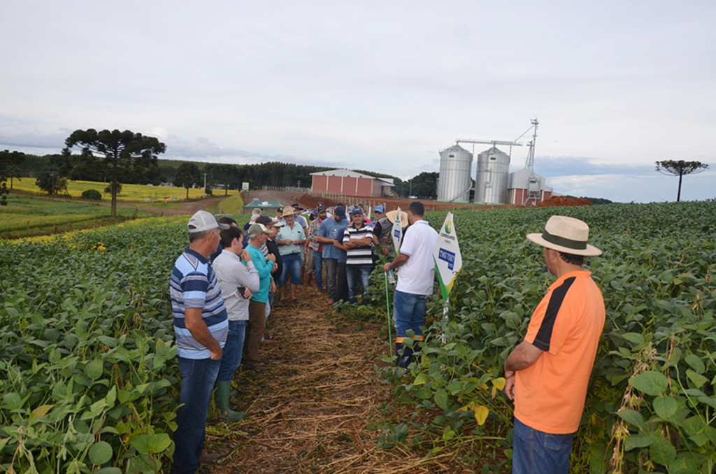 Copercampos promoveu em Pinhal da Serra, Tour técnico de soja