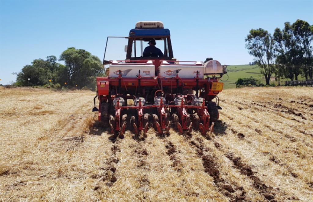 Copercampos implanta área para Dia de Campo em Campo Belo