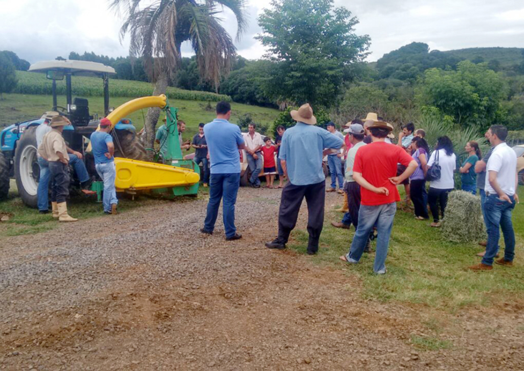 Pinhal sediou Tarde de Campo