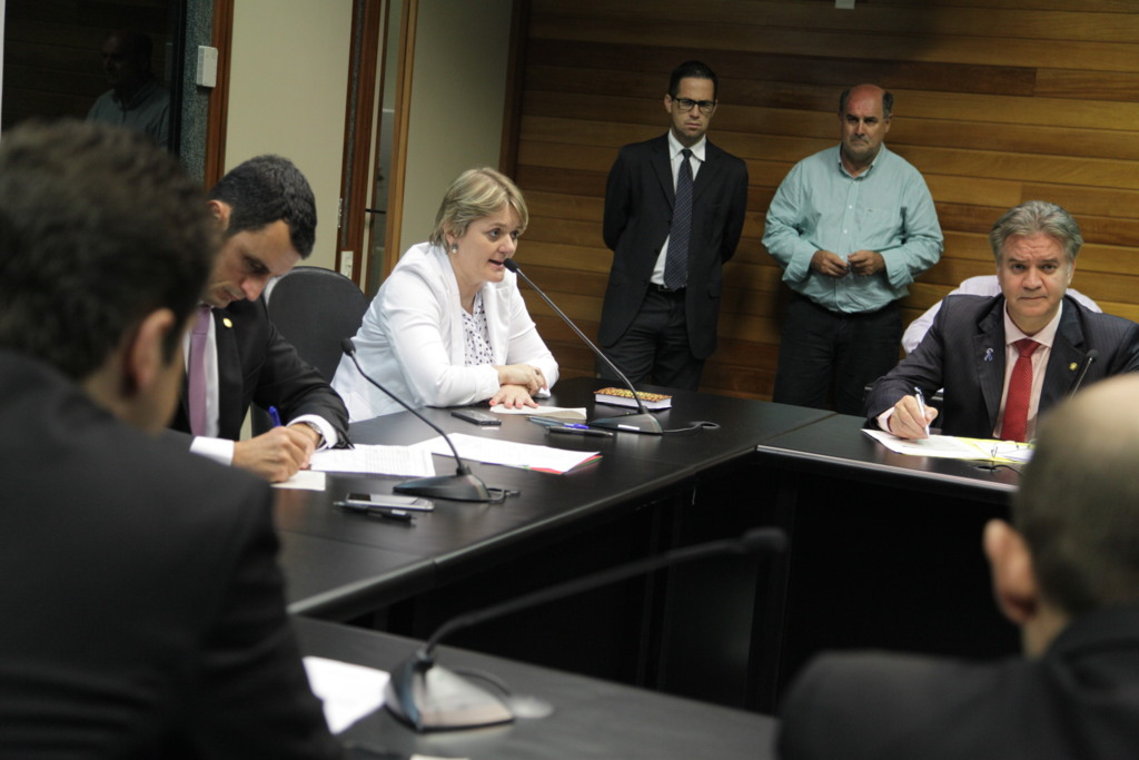  - Deputada Luciane Carminatti (PT/SC).