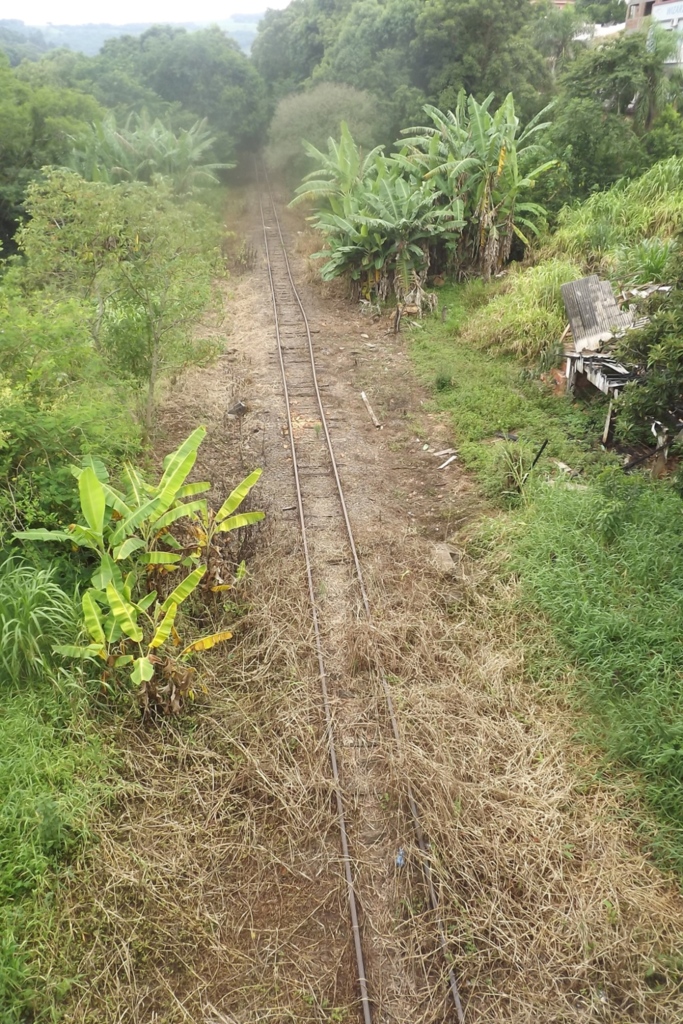 A via férrea do Vale do Rio do Peixe vem sendo pulverizada com um tipo de veneno secante para capim