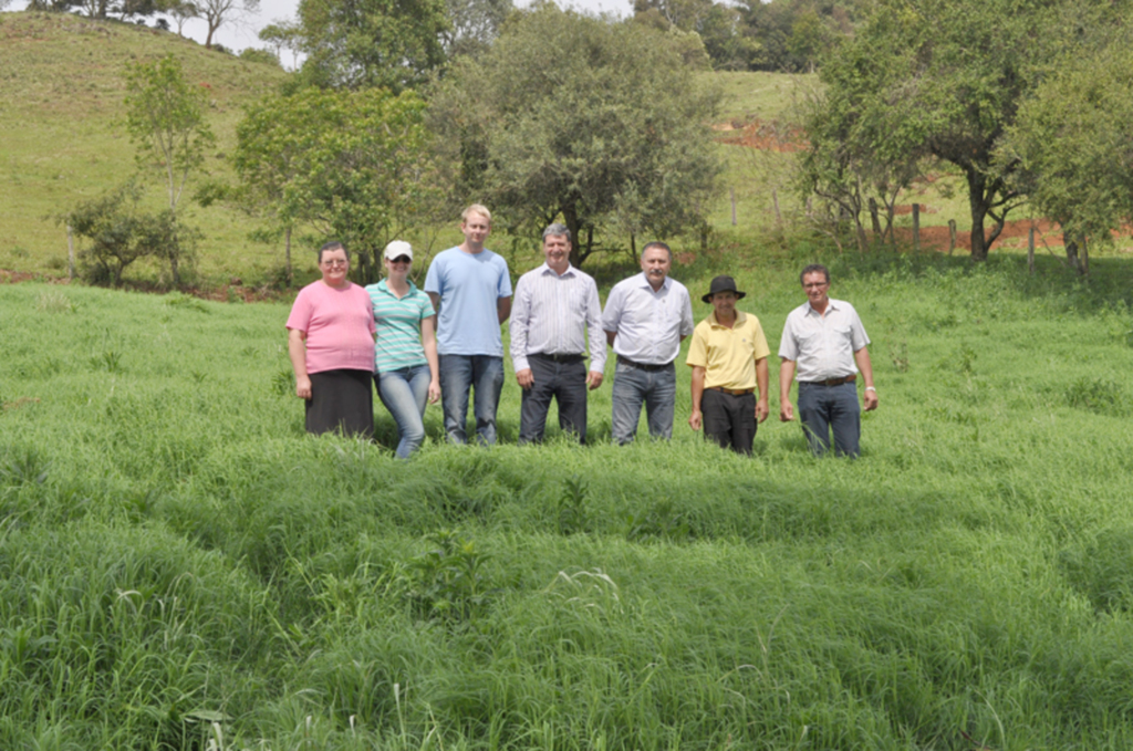 Mudas de Jigss começam a ser distribuídas aos produtores participantes do projeto Balde Cheio.