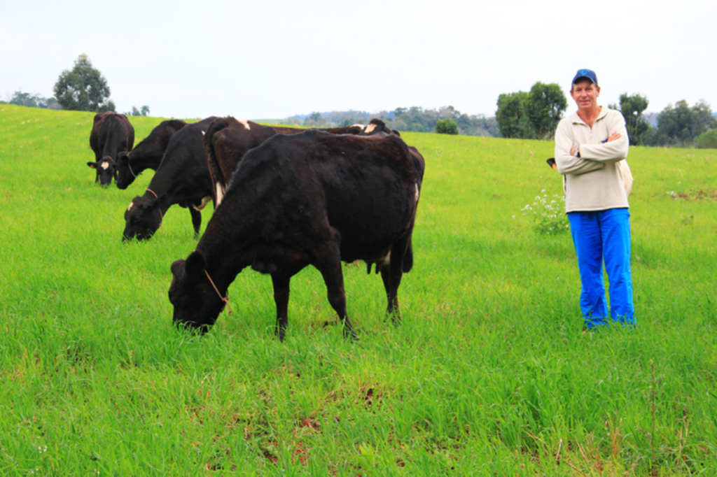 Em Piratuba, agricultores adquirem sementes para pastagem de inverno pela metade do preço