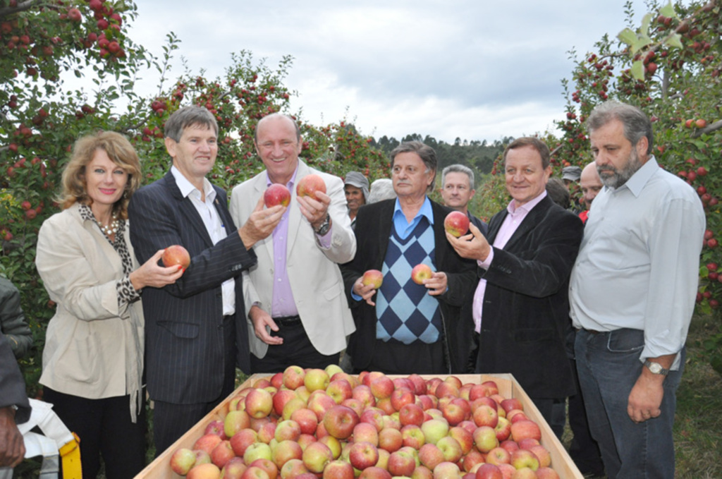 Ministério da Agricultura declara o Brasil como área livre de Cydia pomonella