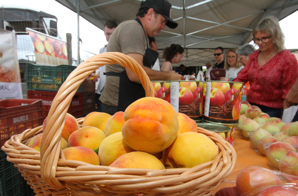Festa do pêssego reforça protagonismo da fruta em Pelotas