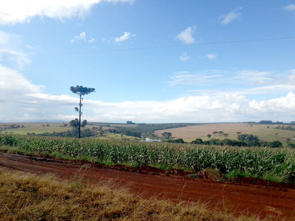 G. Laffitte lança loteamento em Santa Tereza do Oeste (PR)