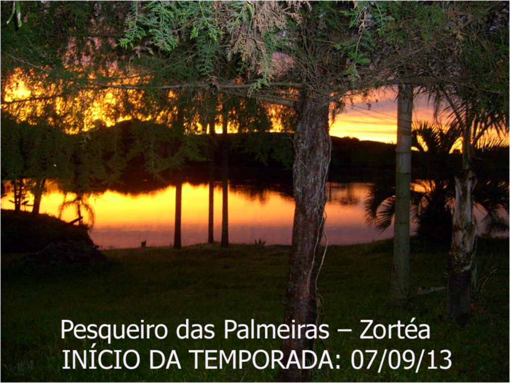 Pesque Pague das Palmeiras: