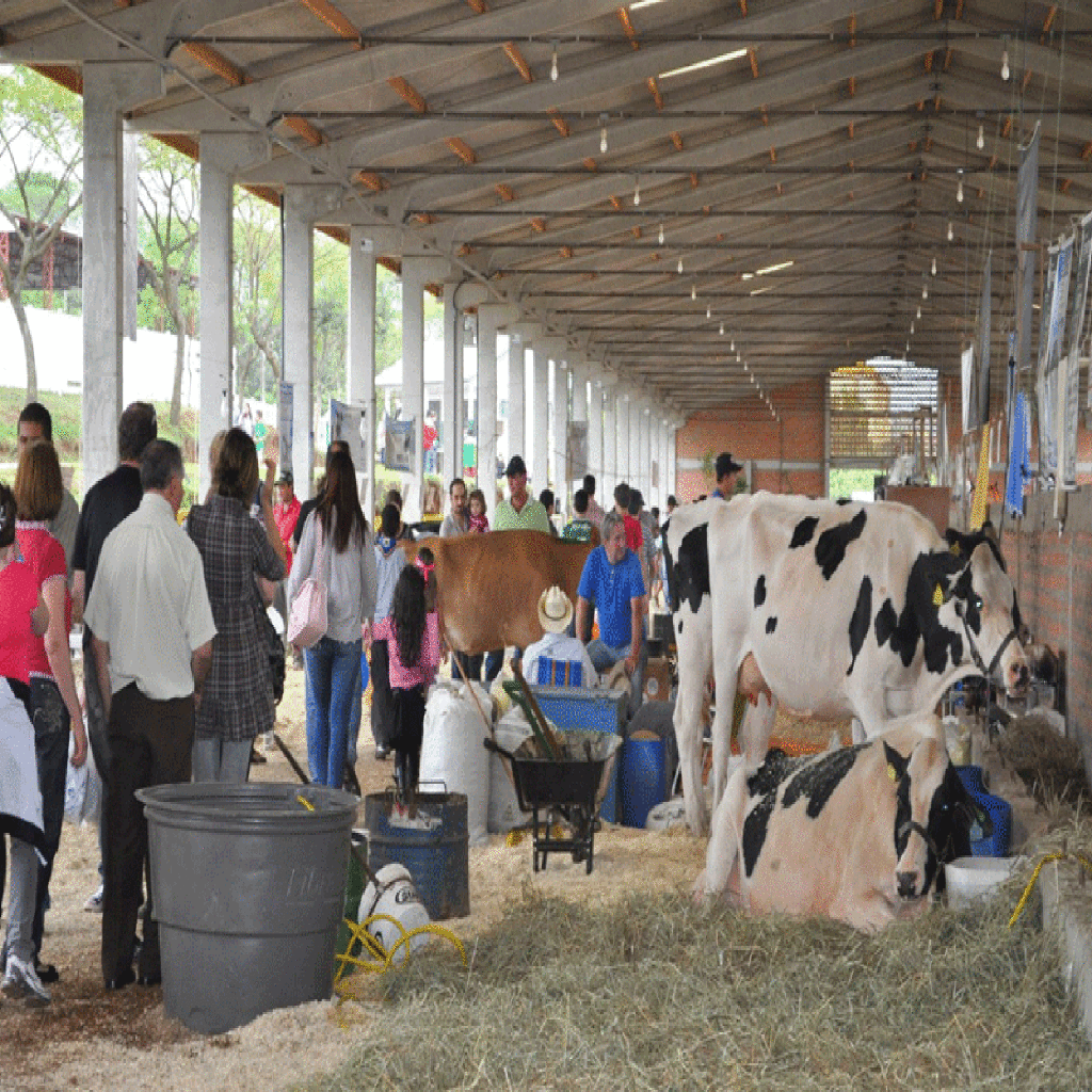 Programação agropecuária da EFAPI será lançada nesta sexta-feira