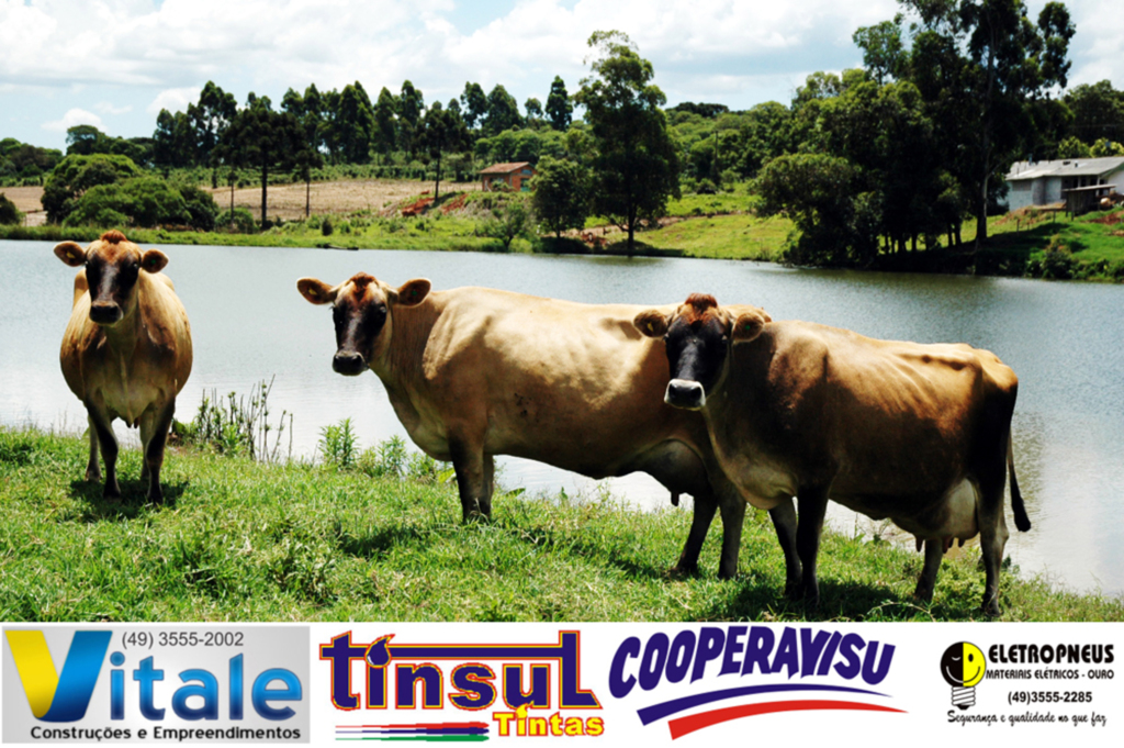 Secretaria da Agricultura lança programa Um Milhão de Litros de Leite no Sul de Santa Catarina