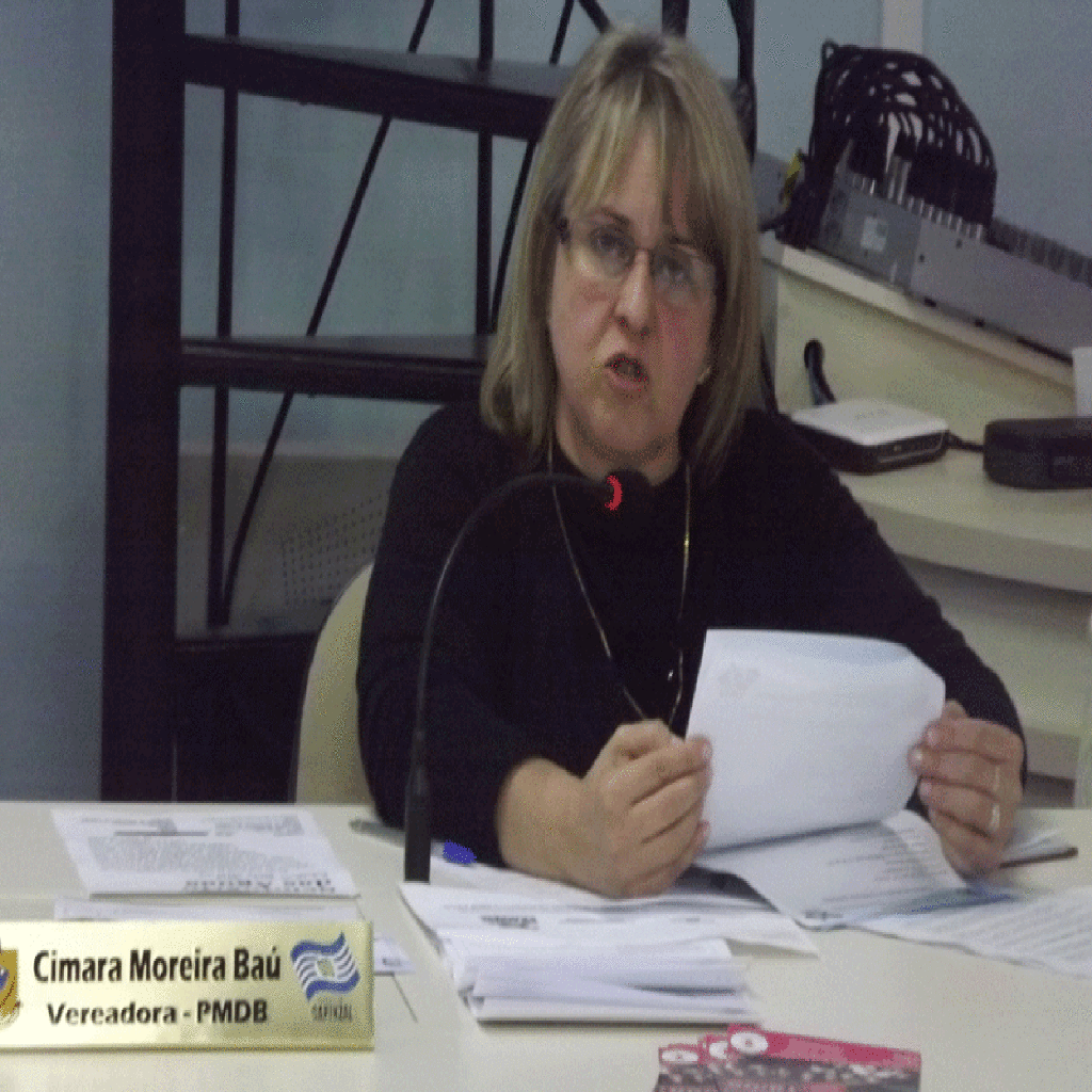 Atuação da mulher na Câmara de Vereadores de Capinzal