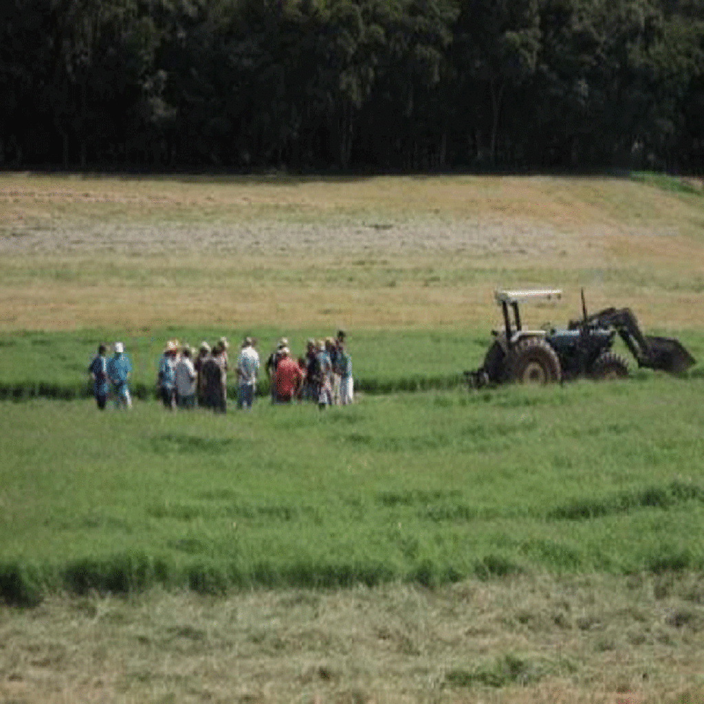 Dia de Campo sobre silagem é realizado em Ouro
