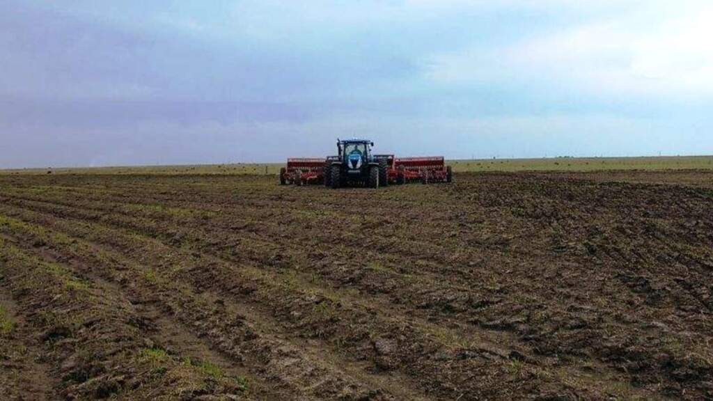 Zona Sul e Fronteira Oeste se destacam no plantio de arroz