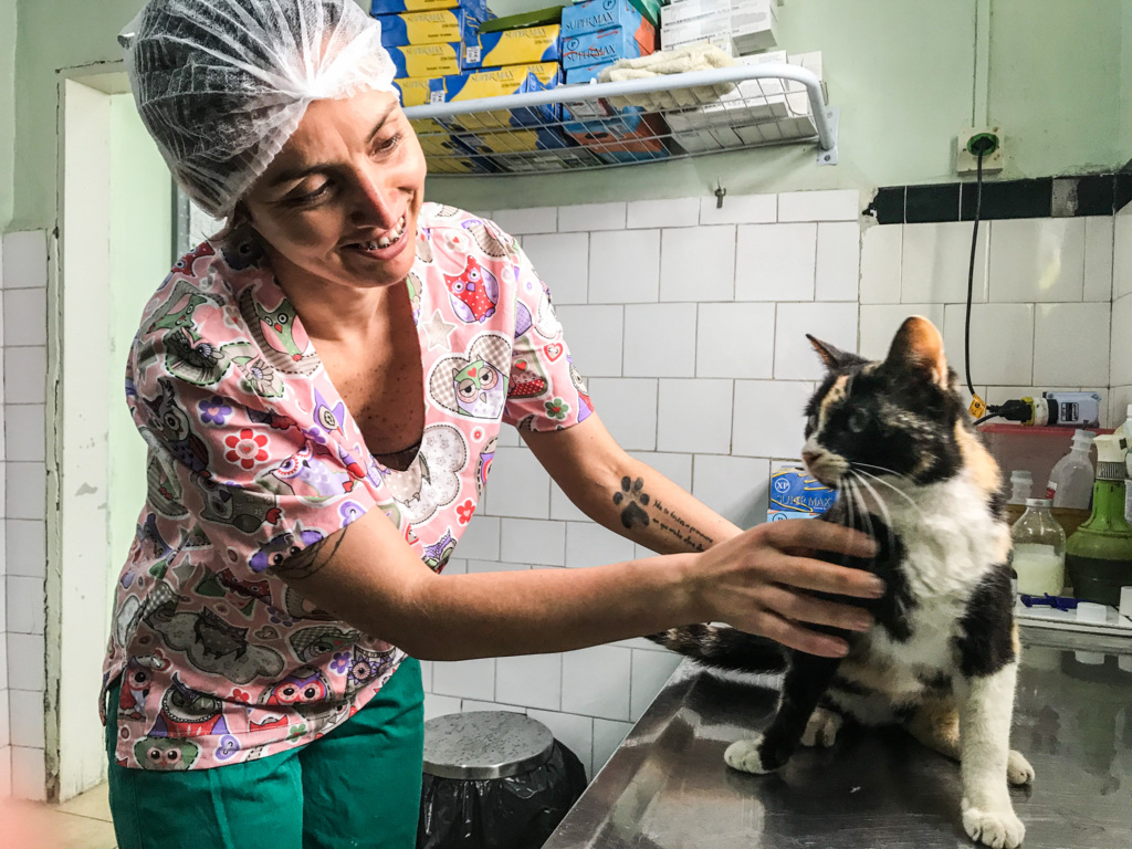 Programa já castrou 14 mil animais