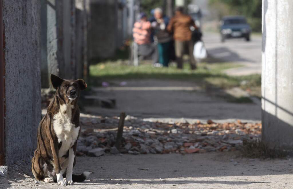 Jô Folha - 
