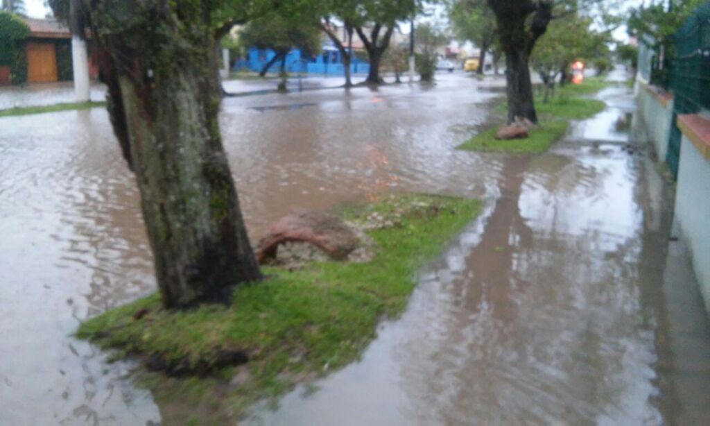 Divulgação - 