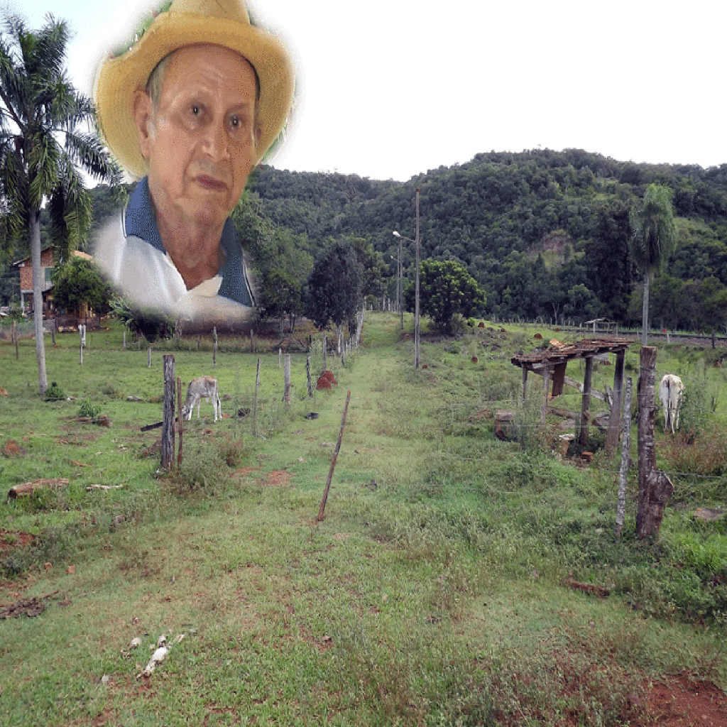 A localidade de Ricardópolis pede socorro às autoridades competentes