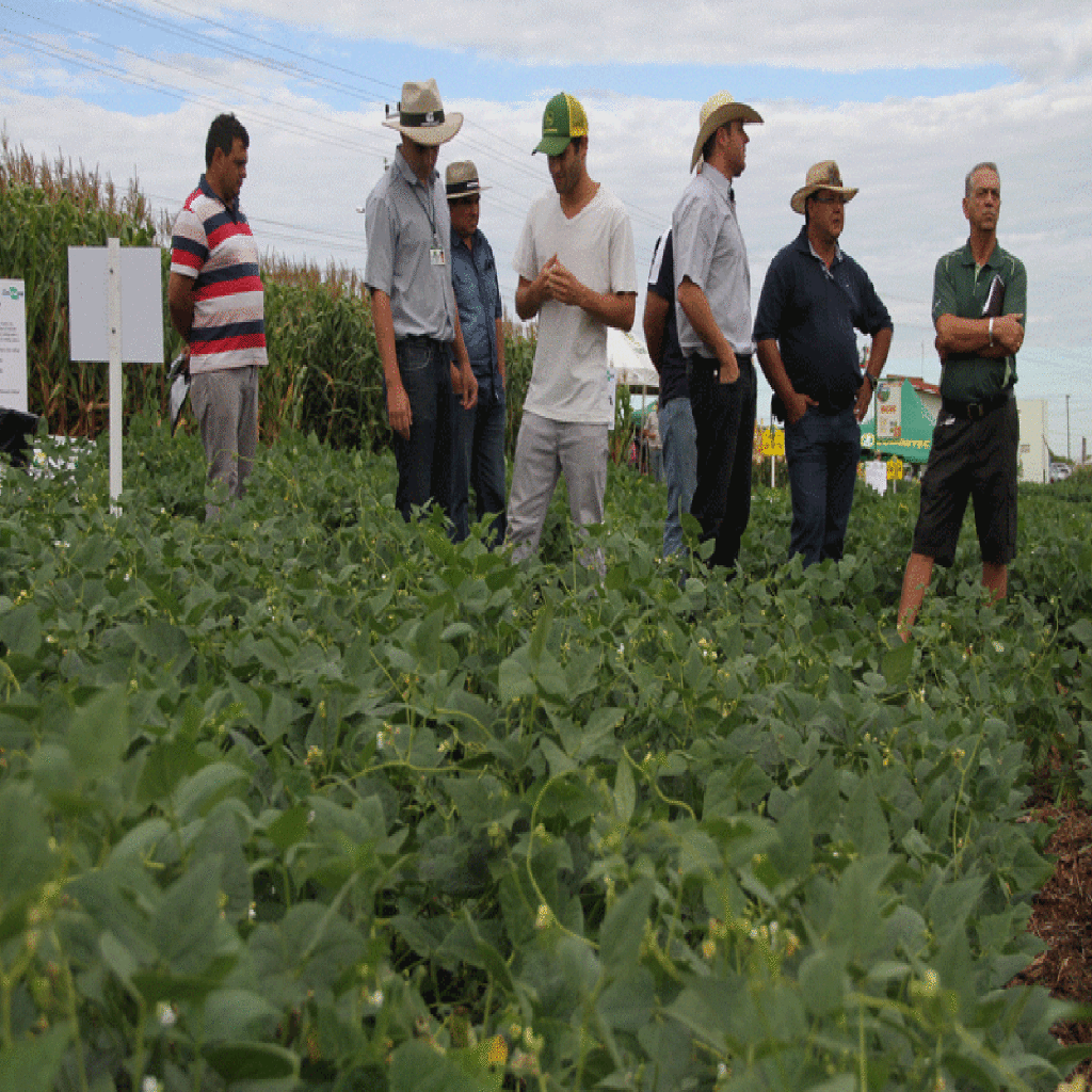 18º Dia de Campo Copercampos: O encontro do homem do campo com a tecnologia