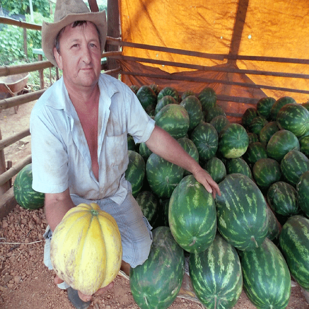 Atividade rural